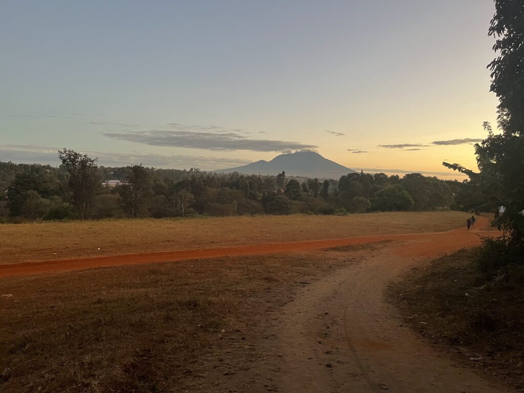 Kvällsbild över landskap i Tanzania